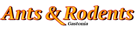 Gastonia Ant Exterminator & Rodent Control Company Logo
